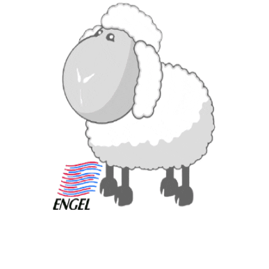 EngelNatur giphygifmaker sheep wool engel Sticker