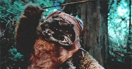 ewok GIF