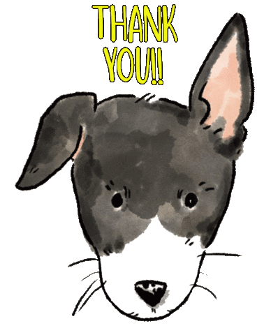 Italian Greyhound Thank You Sticker by normanandpiper