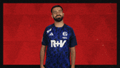 Schalke 04 Hello GIF by Bundesliga