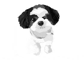 tesstjohnson dog gidget GIF