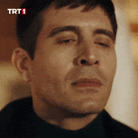 I Understand All Right GIF by TRT