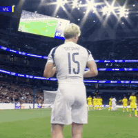 Tottenham Hotspur GIF by Respective