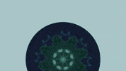 150UP imn 150up GIF