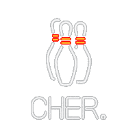 bowling mariacher Sticker by CHER