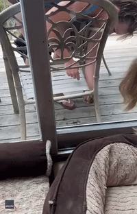 Woman Helps Untangle Chipmunk's Claw from Porch Chair