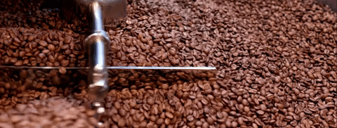Coffee Beans Austria GIF by coffeekult