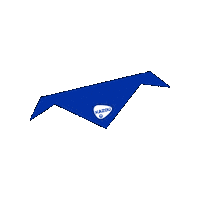 Kazousjaaltje Sticker by Kazouvakanties