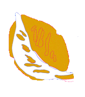 deloreta jungle parrot dolphin puma Sticker
