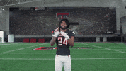 Red Raiders GIF by Texas Tech Football