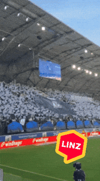 Bundesliga Fans GIF by Linz News