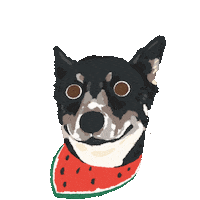 Dog Taiwan Sticker