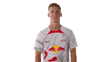 Dani Olmo Football Sticker by RB Leipzig