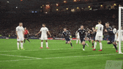 Celebrate Scottish Football GIF by Scotland National Team