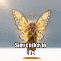 Buddhafly Character GIF by BuddhaFlyJourney