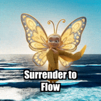 Wisdom Acceptance GIF by BuddhaFlyJourney