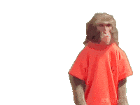 Fun Monkey Sticker