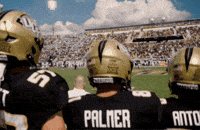 College Football Gkco GIF by UCF Knights
