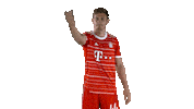 Come Here Sticker by FC Bayern Munich