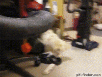 act GIF