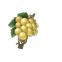 Sweet Wine Sticker by Oliver Winery