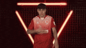 Ssv Jahn Regensburg Vbl GIF by Bundesliga