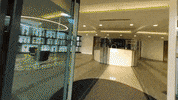 Formula 1 Sport GIF by Mercedes-AMG Petronas Formula One Team