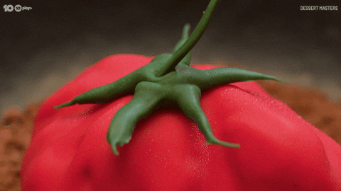 Heirloom Tomato Art GIF by MasterChefAU