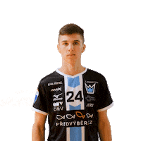 Floorball Bauer Sticker by Český florbal