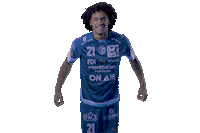 Mhb Sticker by Montpellier Handball