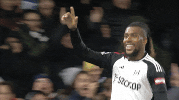 Happy Premier League GIF by Fulham FC