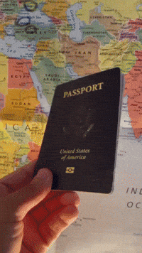 Traveler GIF by CGTraveler - Carlos Garrido - Adventrgram