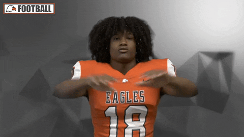 Cnfb GIF by Carson-Newman Athletics