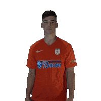 Wbg11 Sticker by WasserburgerLöwen