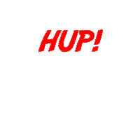 The Netherlands Football Sticker by OnsOranje