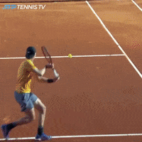 Denis Shapovalov Wow GIF by Tennis TV