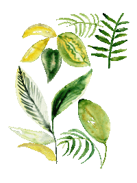 Green Leaves Plants Sticker by Beautigurlz