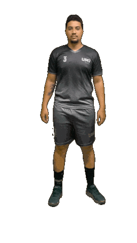 Umj Sticker by Nacional Handebol