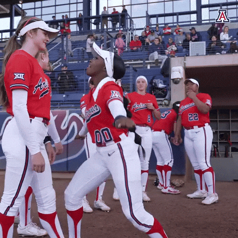 Love Hate Punch GIF by Arizona Athletics