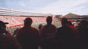 Badger Football GIF by Wisconsin Badgers