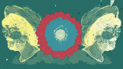 Cat Stevens Yusuf GIF by ZEEBA