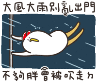 Typhoon 颱風 GIF