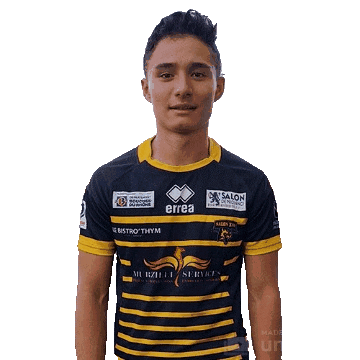 rugbysalon13 giphyupload rcs rcsalonxiii rcsalon Sticker