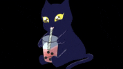 ByRegulus gatito bubbletea blackie byregulus GIF