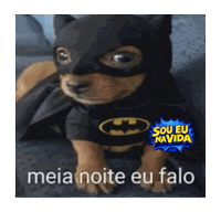 Dc Comics Batman Sticker by Sou Eu Na Vida