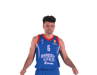 Happy Dance Sticker by Anadolu Efes SK