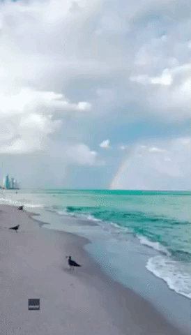 Striking Double Rainbow Appears Above Dreamy Miami Beach