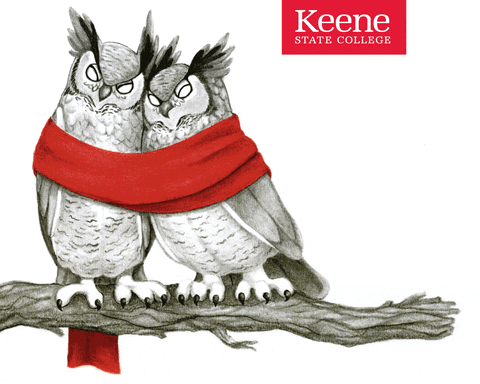 Keenestate GIF by Keene State College