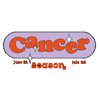 Zodiac Sign Star Sticker