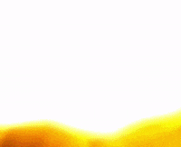 GIF by Kesha